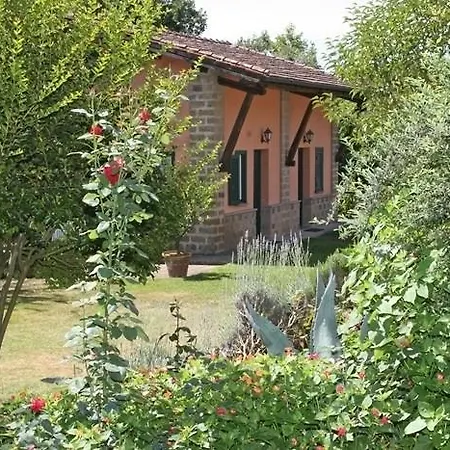 Rielli